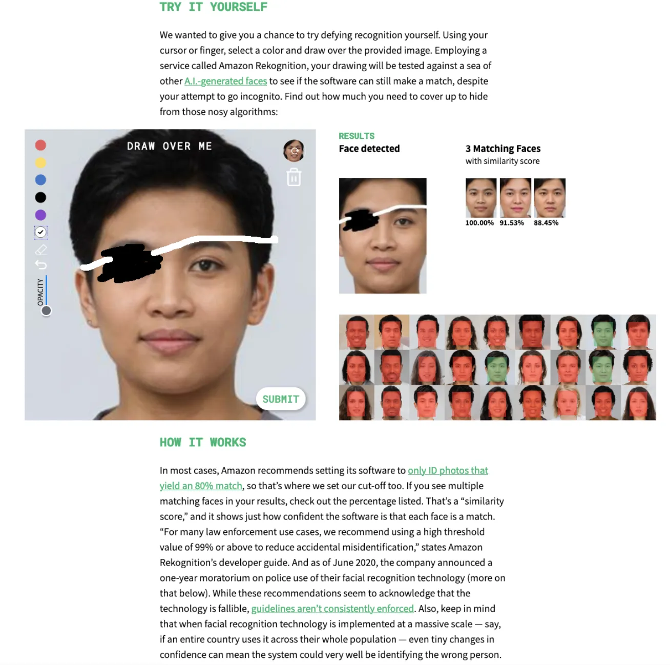 Erase your Face, 2020, build using Vue